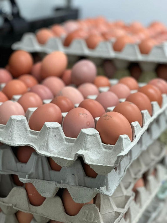 Kananmuna 30kpl, avokenno valkoinen