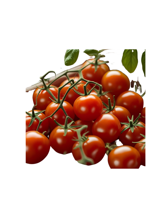 Kirsikkatomaatti rasiassa 300g